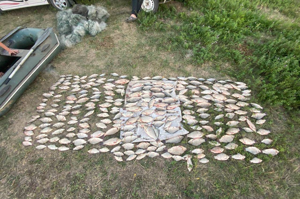 Оце так вилов: рибалка на Одещині наніс збитків на півмільйона «фото»