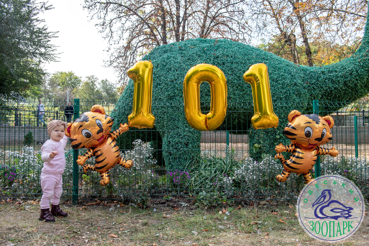 Одеському зоопарку 101 рік: на свято йому подарували «піратський» артоб’єкт (фото) «фото»