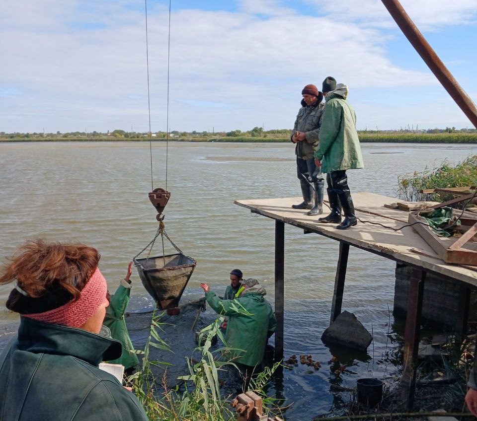 Відновлення фауни на Одещині: розпочато зариблення озер Ялпуг-Кугурлуй (фото) «фото»