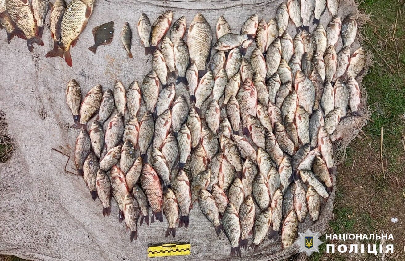 Карасі, сазани, окуні та камбали: на півдні Одещини чоловік незаконно наловив риби на 290 тисяч (фото) «фото»