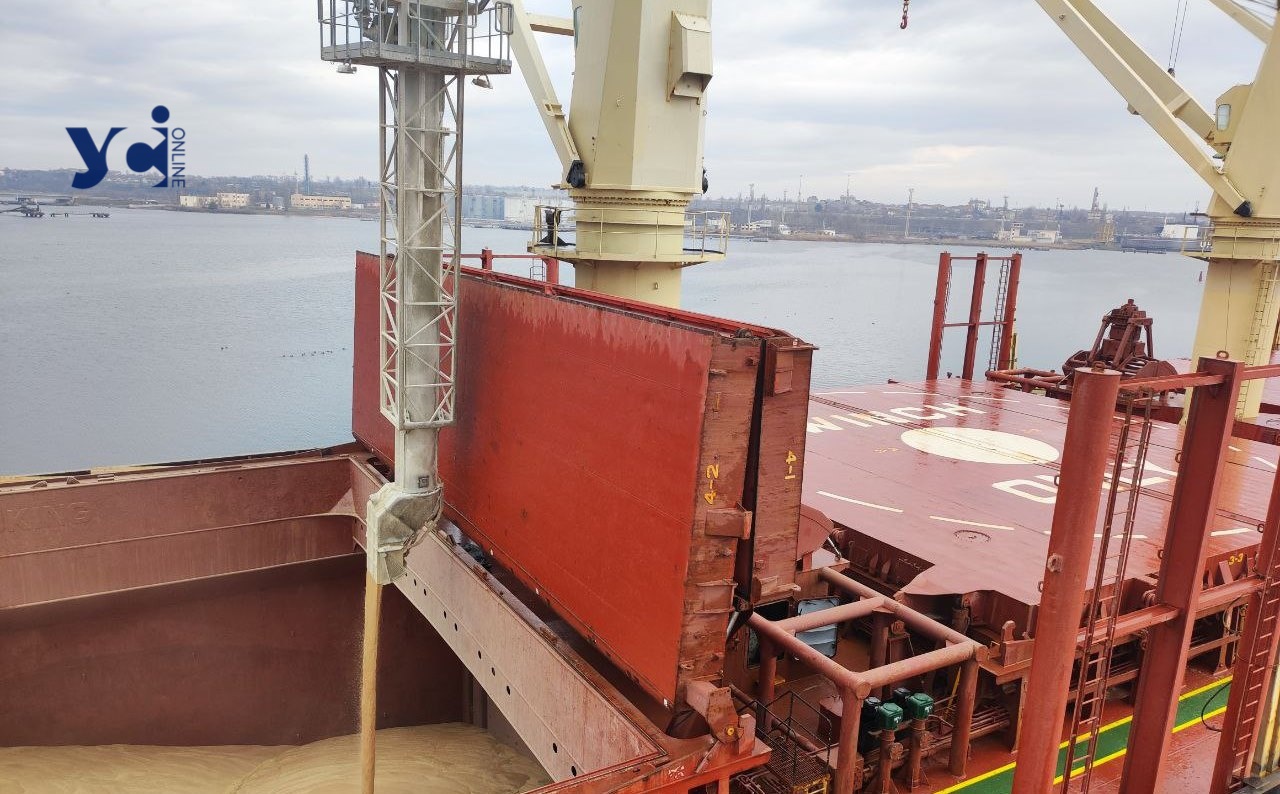 Експортери зерна скаржаться на затримки суден в одеських портах: винуватять місцевих чиновників «фото»