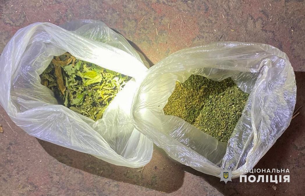 Ботанік-рецидивіст: на Одещині двічі підряд затримали нарко-плантатора (фото) «фото»