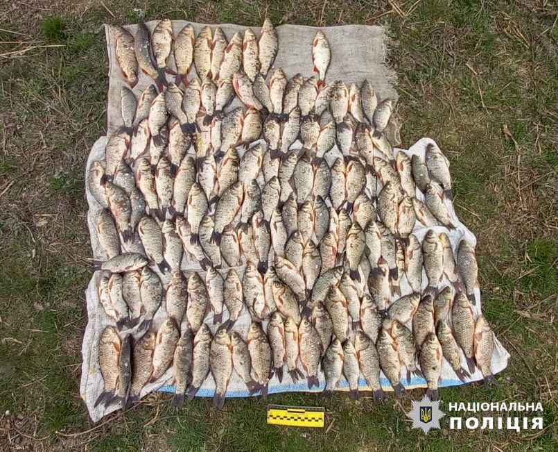 На Одещині чоловік наловив риби на 330 тис грн: йому оголошено про підозру (фото) «фото»
