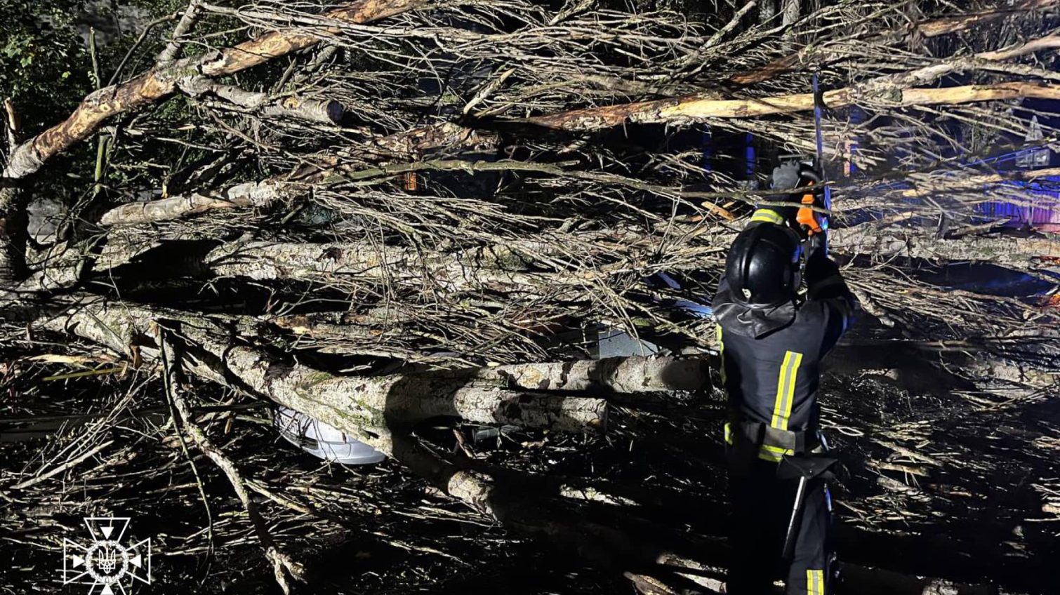 Рятувальникам довелось прибирати дерева, які впали на дороги в Одесі та області (фото, ОНОВЛЕНО) «фото»