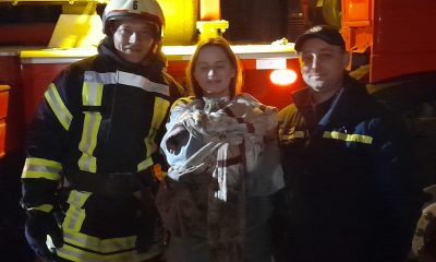 Історія порятунку: одеські рятувальники зняли з висоти налякане кошеня (фото) «фото»