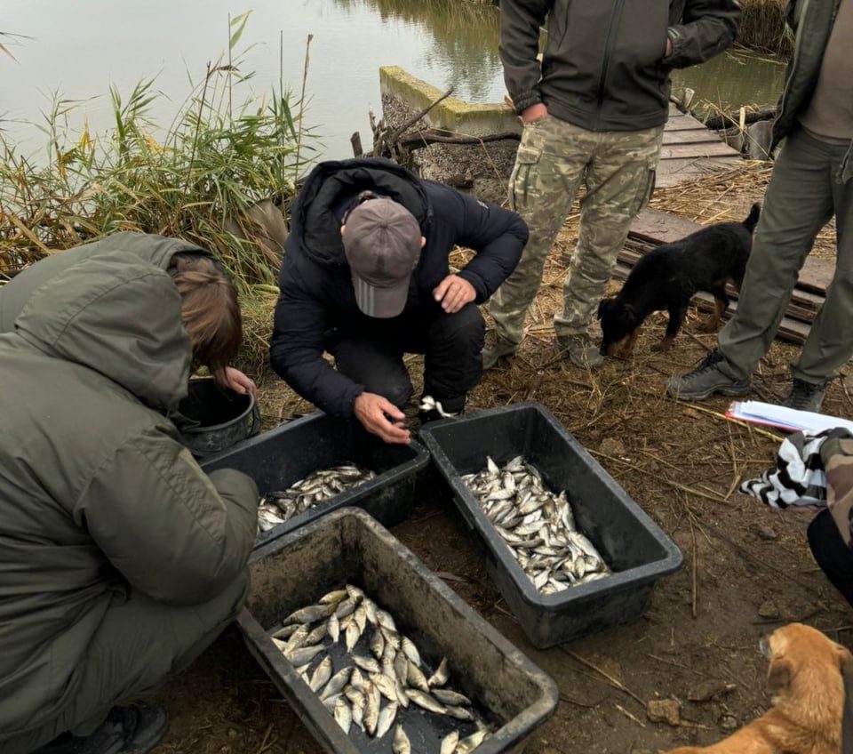 На півдні Одещини зариблюють велике штучне озеро (фото) «фото»