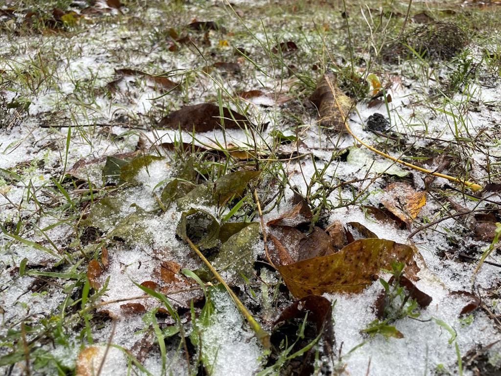 Нічний буревій приніс до Одеси перший сніг (фото) «фото»