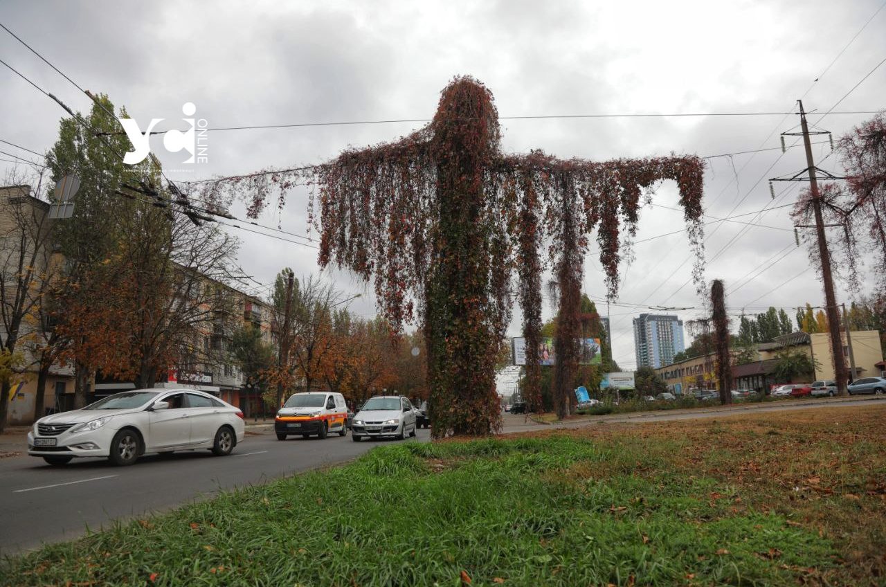 Погода в Одесі на 17 листопада: похмуро та холодно «фото»