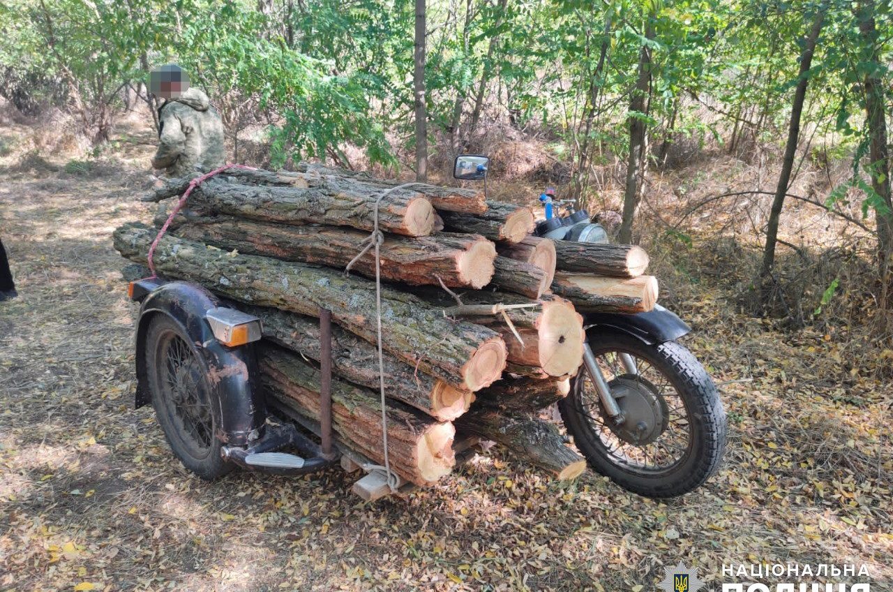 На Одещині чоловік напиляв дерев на 40 тисяч гривень (фото) «фото»