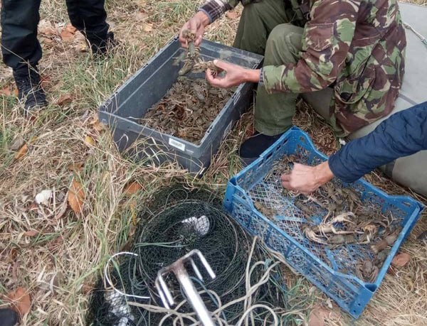 Оце так улов: на Одещині двоє браконьєрів наловили раків на мільйон «фото»