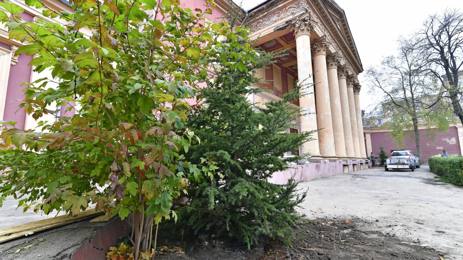 В Одесі висадили дерева в пам’ять про загиблого на війні озеленювача Бориса Айзенберга (фото) «фото»