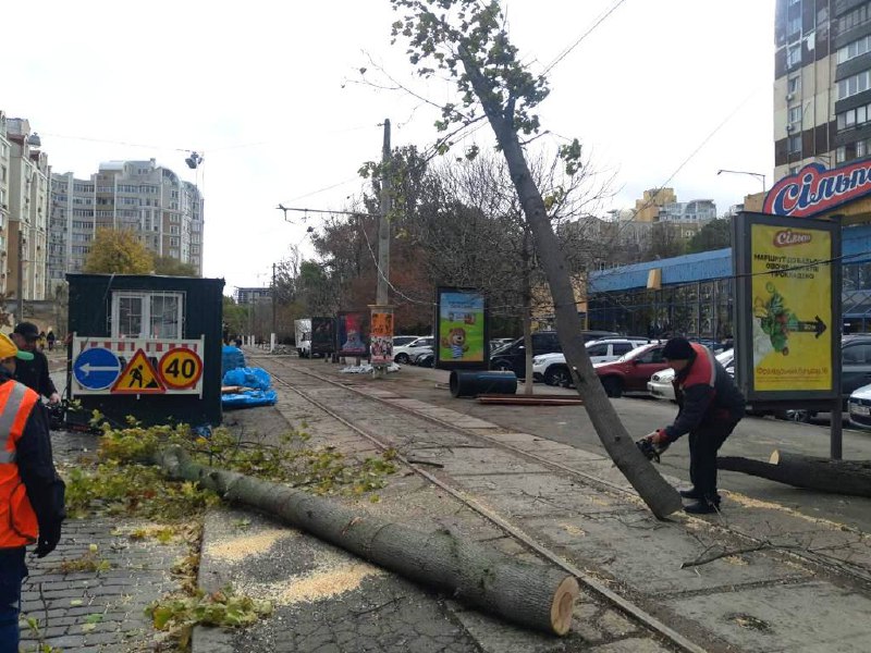 В Одесі вже майже 40 викликів аварійних бригад через негоду: падає багато дерев (фото) «фото»