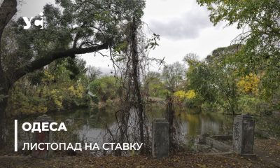 Осіння меланхолія: непомітна краса покинутого ставка в Одесі (фото) «фото»