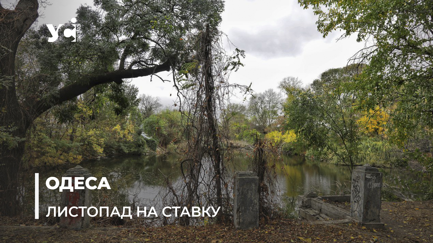 Осіння меланхолія: непомітна краса покинутого ставка в Одесі (фото) «фото»