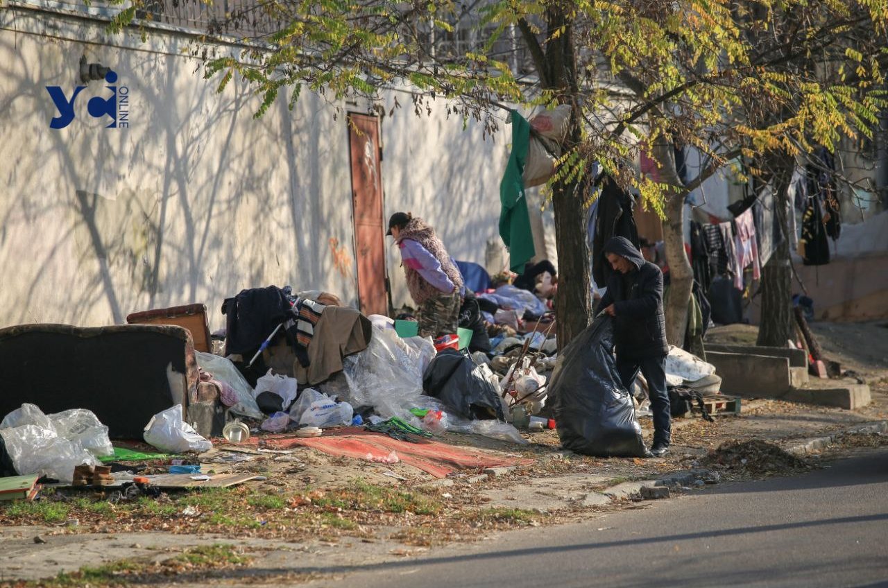 Зустріли безпритульного в Одесі: куди звертатися по допомогу «фото»