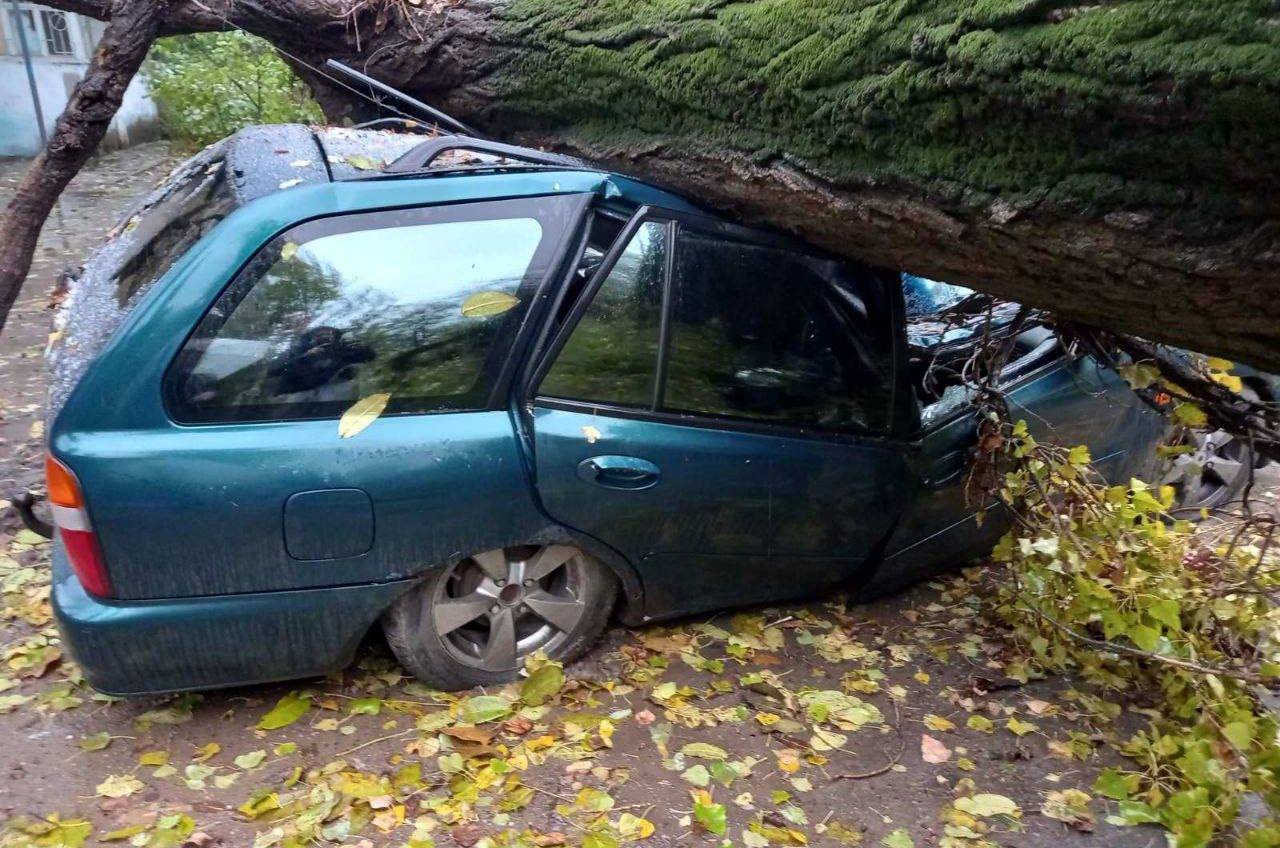 В Одесі через прихід циклону розпочався деревопад, є побиті автівки (відео) «фото»