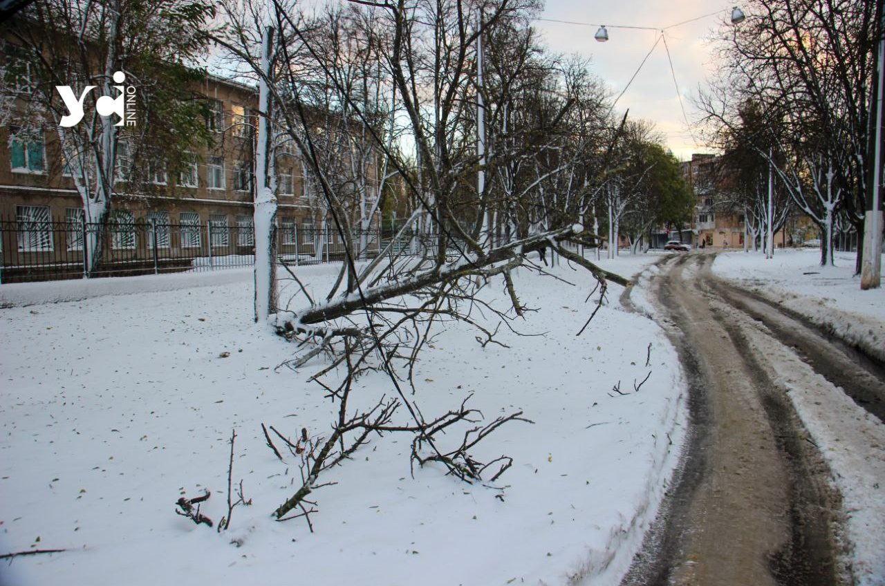 Енергетика Одещини після урагану: куди звертатися, якщо нема світла «фото»