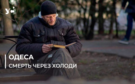 За останні п’ять років вперше таке спостерігаємо, – волонтер про смерть 7 безхатченків в Одесі «фото»