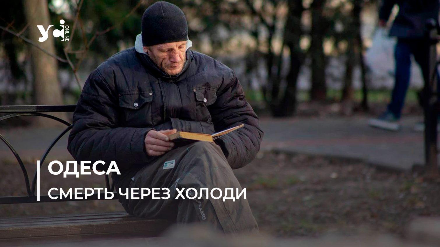 За останні п’ять років вперше таке спостерігаємо, – волонтер про смерть 7 безхатченків в Одесі «фото»
