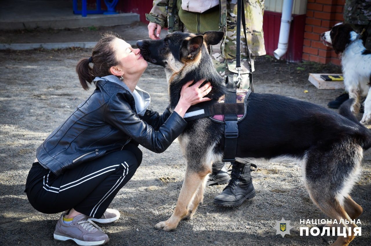 Каністерапія: на Одещині кінологи допомагатимуть в реабілітації поранених (фото) «фото»