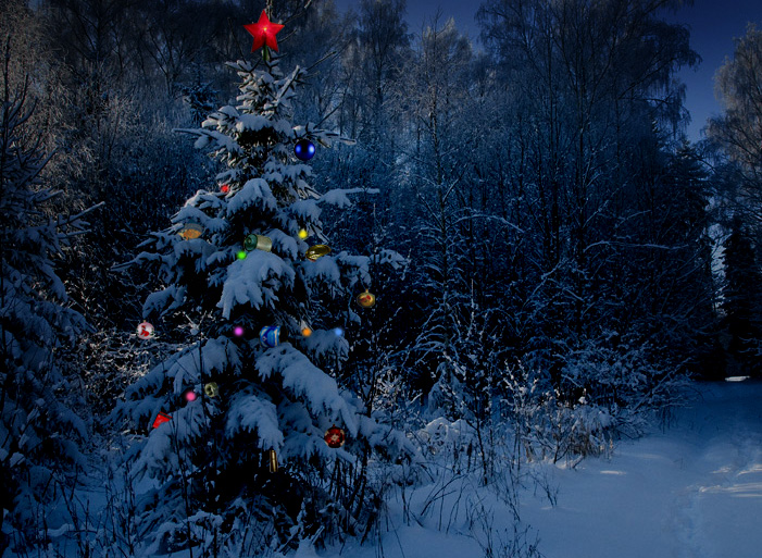 Традиція наряджати ялинку прикрасами на Новий рік: що символізують святкові обряди «фото»