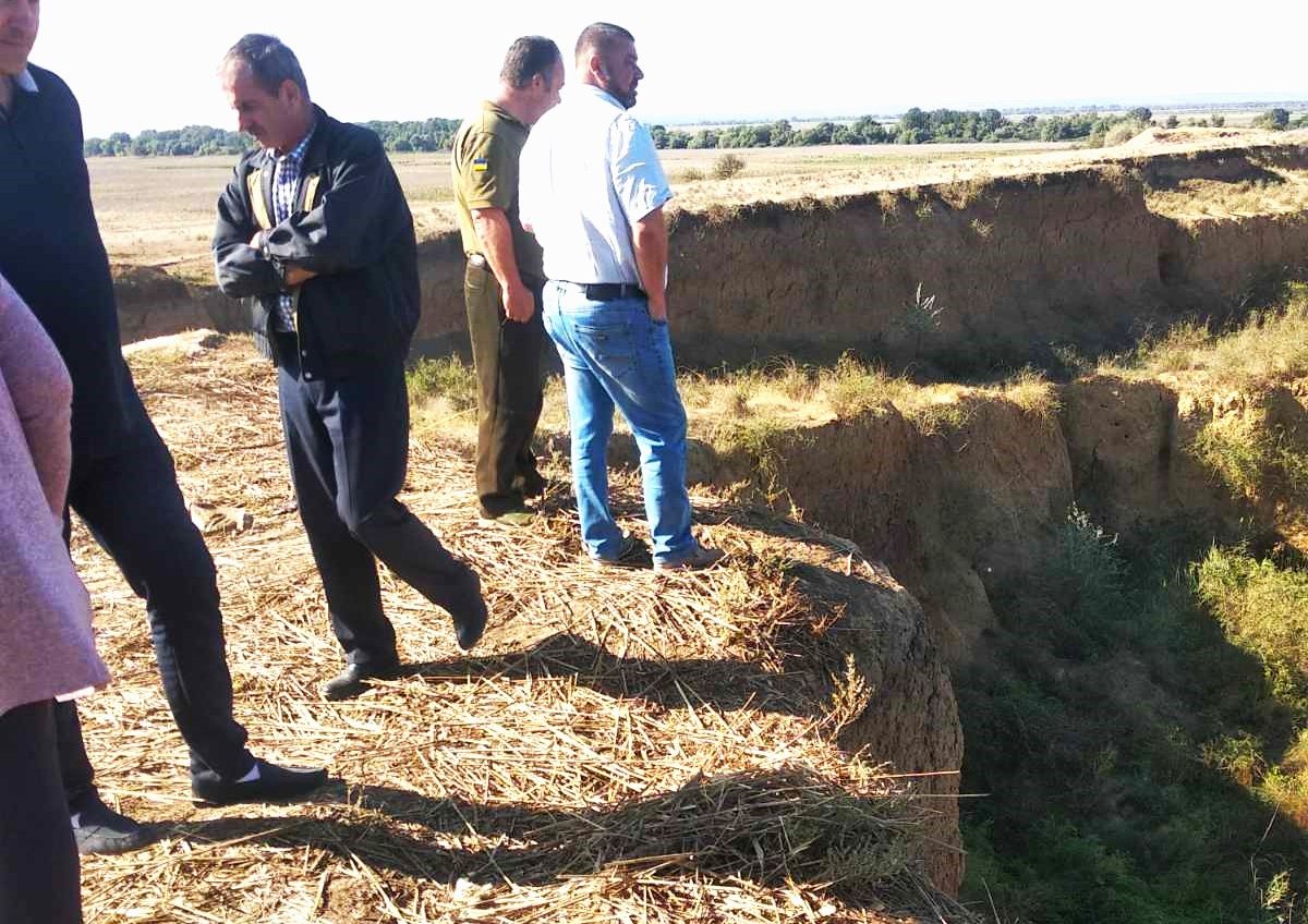 На Одещині просто неба гнили трупи овець і кіз – екоінспектори змусили бізнесменів прибрати могильник «фото»