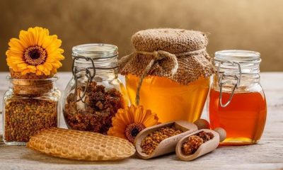 У МОЗ України попередили про недоказовість реабілітації через продукти бджільництва «фото»