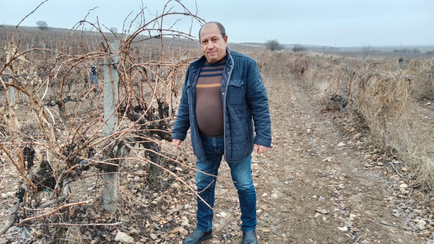 Виноградарь на Одещині списав 50 гектарів винограду винних сортів (фото) «фото»