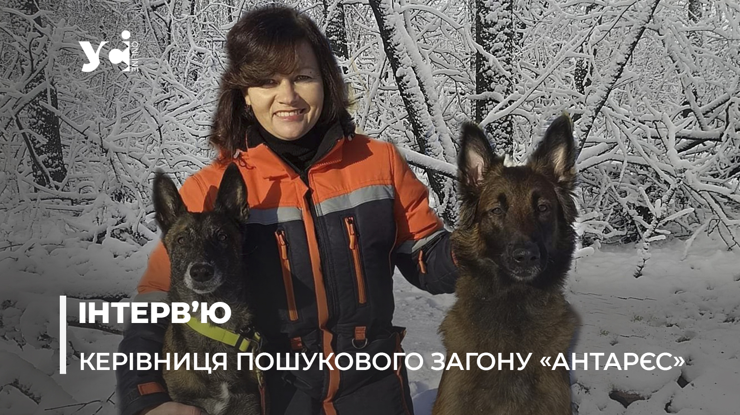 Собаки-захисники загону «Антарєс»: як вони шукають людей під завалами після прильотів (фото) «фото»