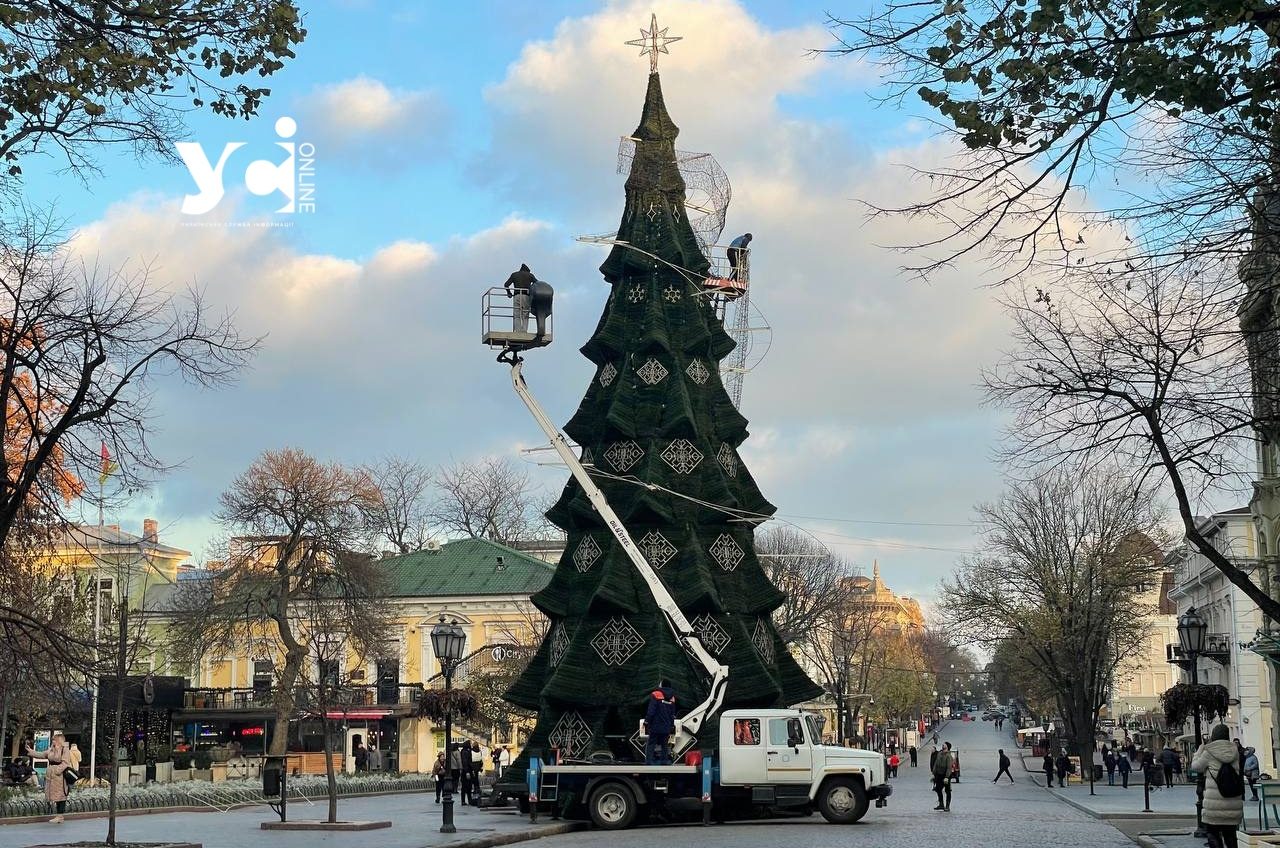 В Одесі на Дерибасівській встановили новорічну ялинку (фото) «фото»