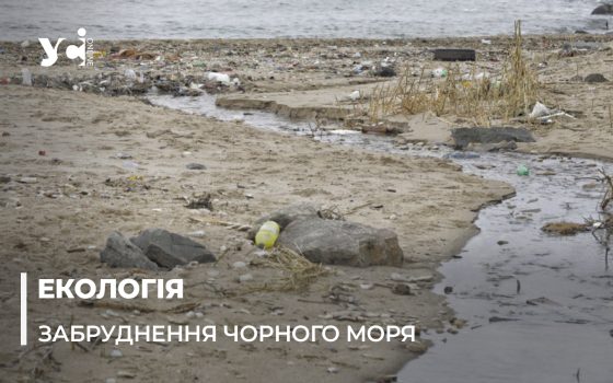 Інспекція та прокуратура не зупиняє: нечистоти у Чорноморці стікають у море (фото) «фото»