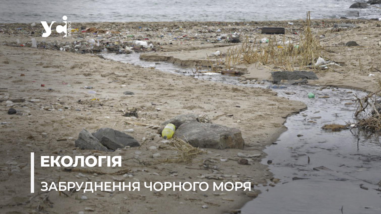 Інспекція та прокуратура не зупиняє: нечистоти у Чорноморці стікають у море (фото) «фото»