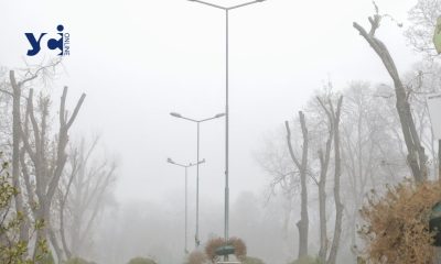 Містичне місто: Одесу вкрив туман (фото) «фото»