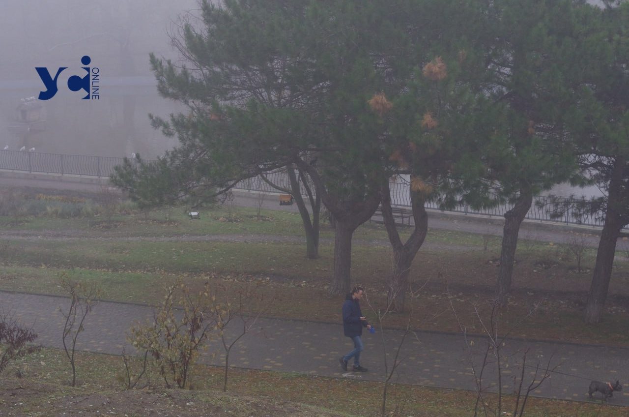З туманом і штормом: погода в Одесі на 14 грудня «фото»