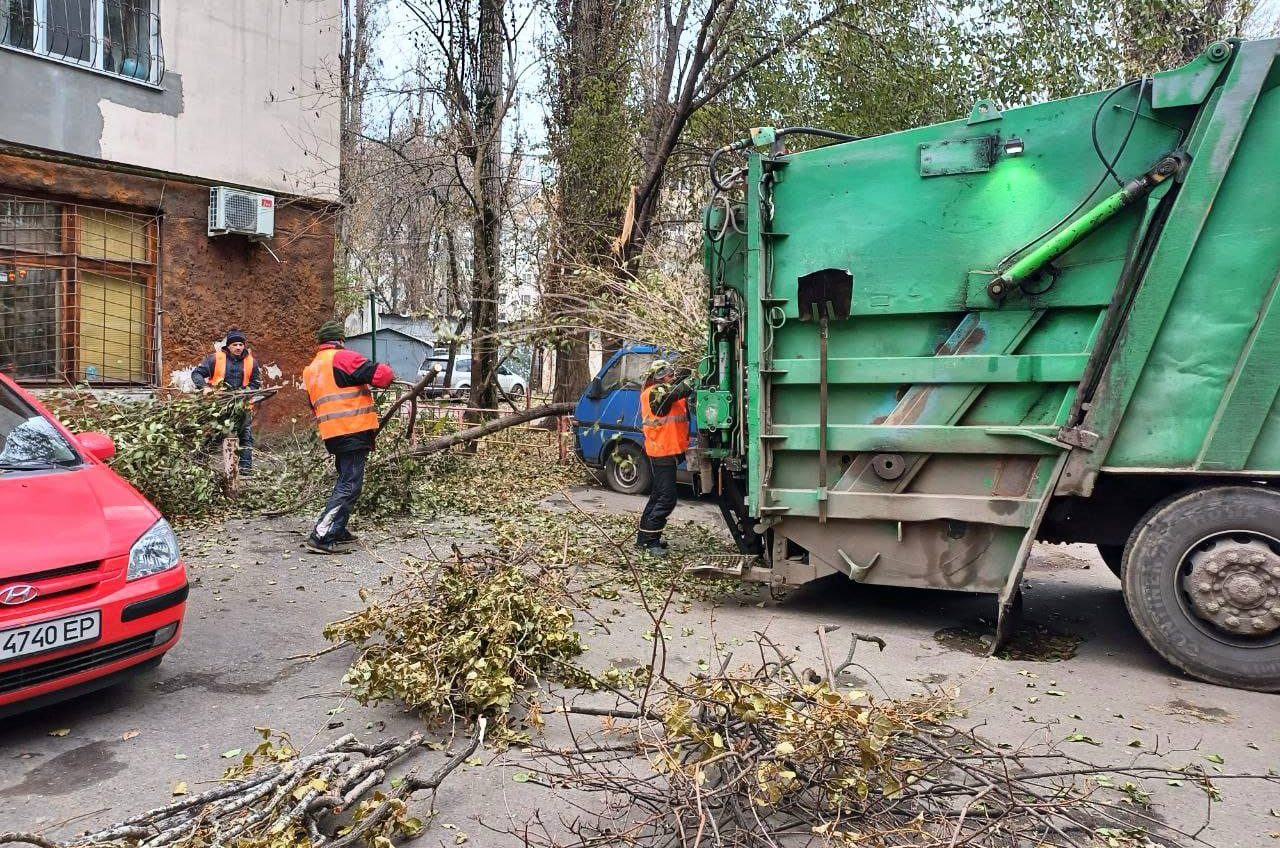 В Одесі після буревію ще прибирають дерева на майже 90 локаціях (фото) «фото»