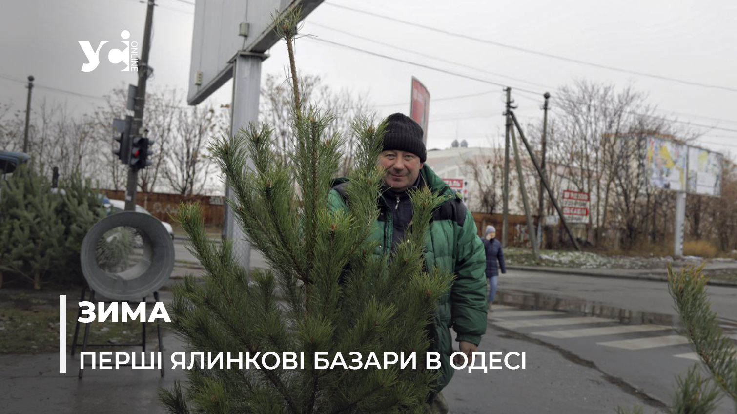 В Одесі з’являються ринки з продажу новорічних ялинок: яка вартість в цьому році (фото) «фото»