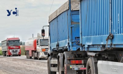 Молдова надала Україні додаткові знижки на агроекспорт «фото»