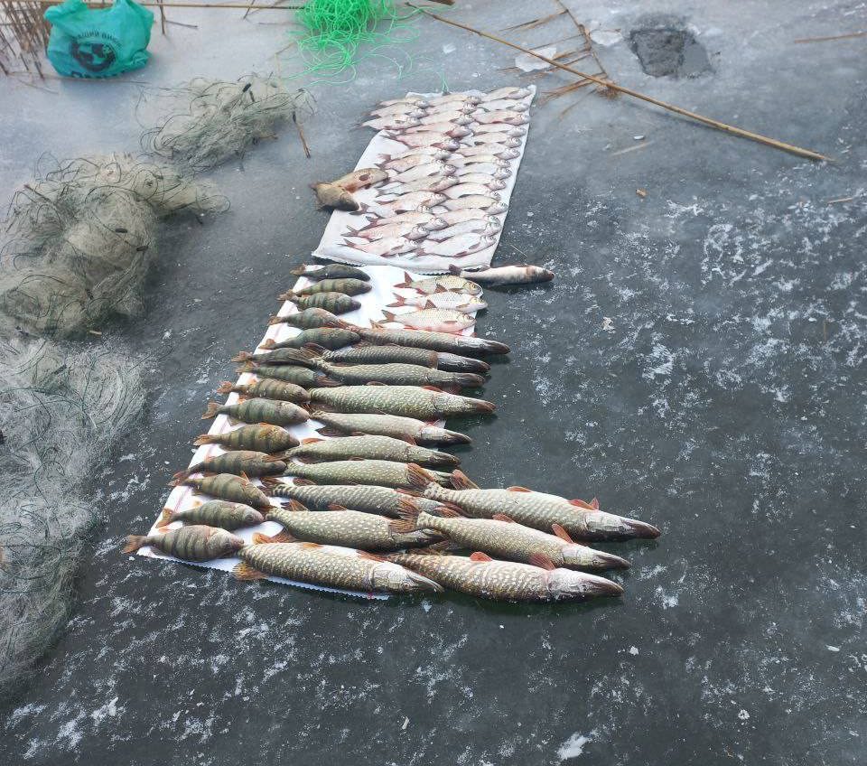 Наловили риби на 150 тисяч: на півдні Одещини затримали браконьєрів (фото) «фото»