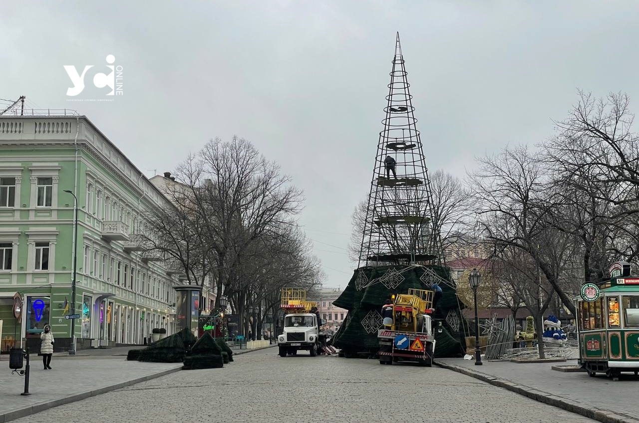 Свята скінчилися: в Одесі демонтують головну ялинку міста (фото) «фото»