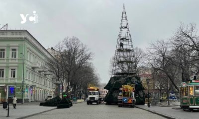 Свята скінчилися: в Одесі демонтують головну ялинку міста (фото) «фото»