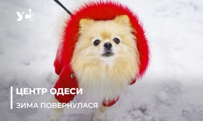 Справжня зима прийшла в Одесу: у центрі – снігова казка, на дорогах – ковзанка (фото, відео) «фото»