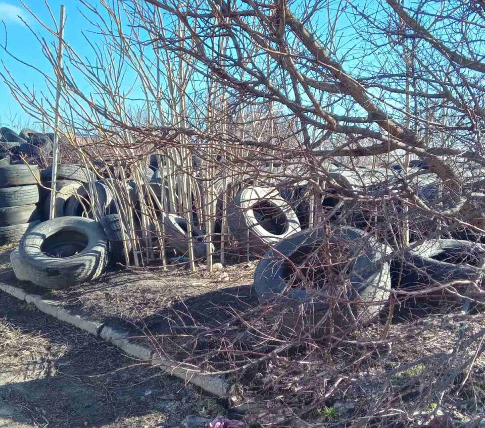 В Одесі виявили стихійне сміттєзвалище автомобільних покришок (фото) «фото»
