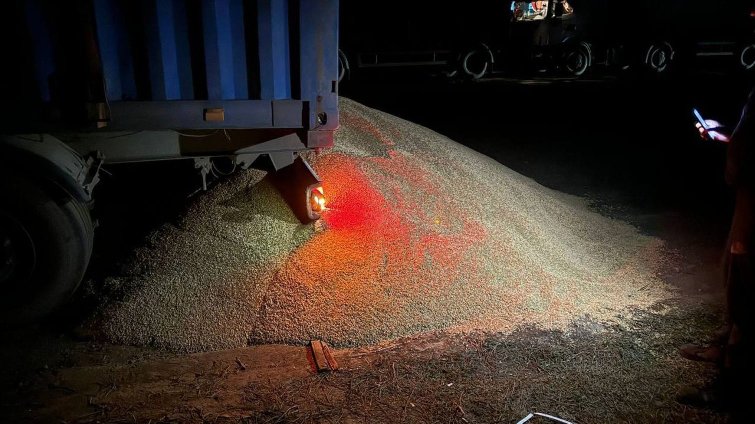 На Одещині невідомі висипали 5 тонн зерна з зерновозу (фото) «фото»