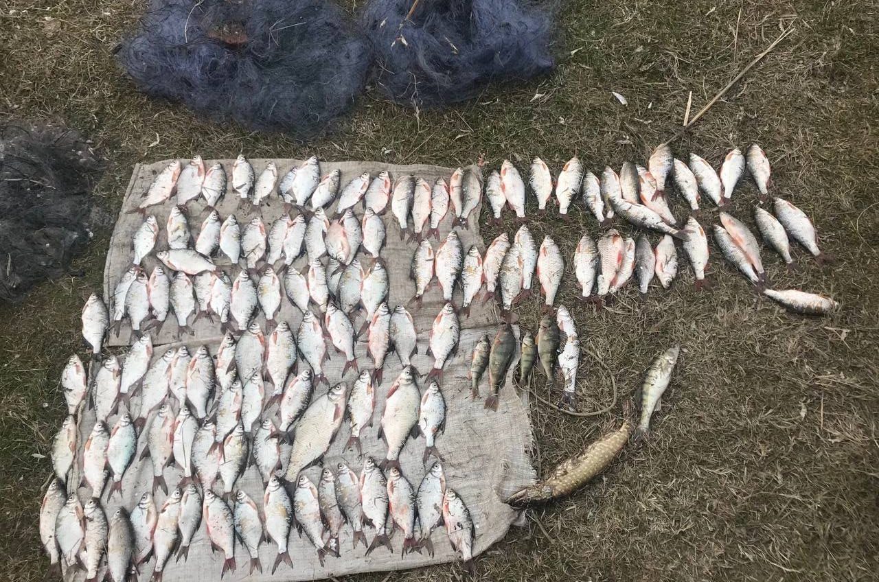 На Одещині чоловік наловив на озері молодь риби – збитки склали понад понад 200 тис. грн. (фото) «фото»