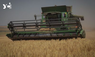 Посівна 2024 року: Одеська область збільшить посівні площі зернових та овочевих культур «фото»