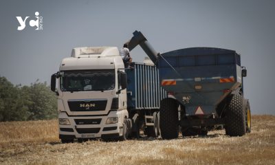 Український експорт: у січні понад 7,7 млн тонн агропродукції перетнули кордон «фото»