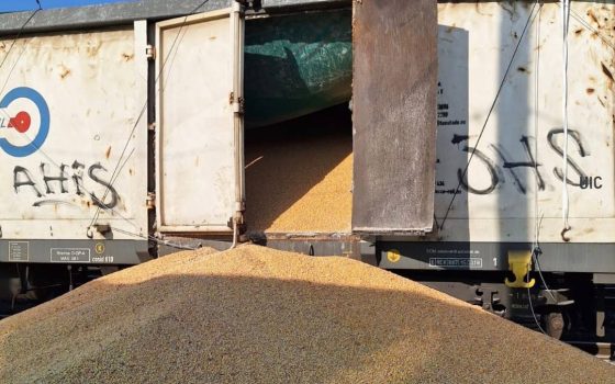 Провокація: у Польщі висипали українську кукурудзу з 8 піввагонів — близько 180 тонн (фото) «фото»