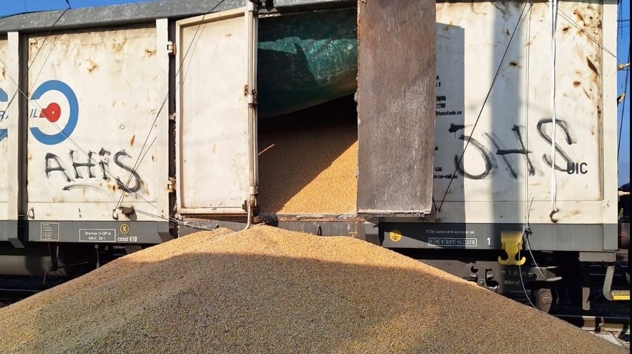 Провокація: у Польщі висипали українську кукурудзу з 8 піввагонів — близько 180 тонн (фото) «фото»