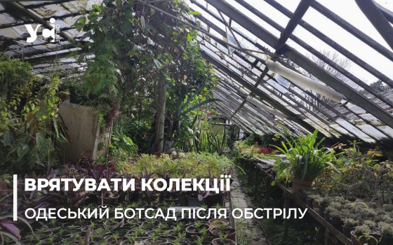 Під час обстрілу Одеси постраждав ботанічний сад: мешканців міста просять допомогти (фото,відео) «фото»