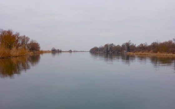 Весняний нерест риб в озерах Дністра на Одещині під загрозою: в чому причина  «фото»